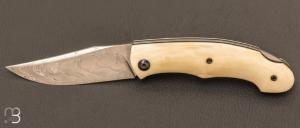 Custom “Lock-Back” knife by Grégory Picard - damasteel and warthog ivory