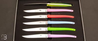 Set of 6 Laguiole table knives by J. -M. Wilmotte