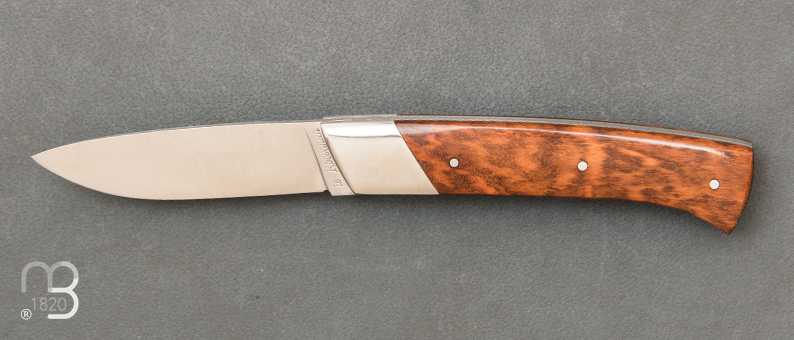 Rhôdanien knife snakewood handle with bolster