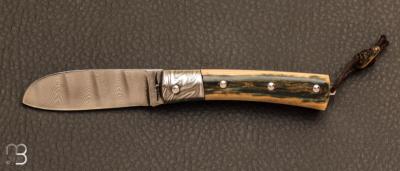 "Mini Promenade" knife in mammoth ivory and damascus blade by Erwan Pincemin