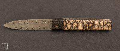 Custom "Gone" knife by Eric Depeyre - Coral and Schneider damask