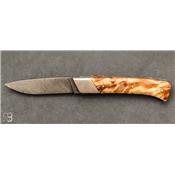 Rhôdanien knife peuplar stabilized -- with damascus blade