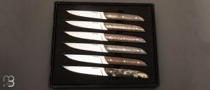 Box of 6 Carbone & Co table knives by LEPAGE - Fatcarbon® and 12C27