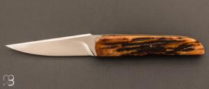  “ Light ” folding liner-lock custom knife by Thierry Chevron - Amber stag and RWL-34