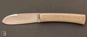  “ Promenade ” custom folding knife by Erwan Pincemin - G-10 handle and N690 blade