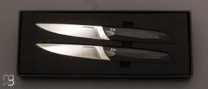 Box of 2 black knives - "Le Table 55" by LEPAGE - Polyacetal and 12C27