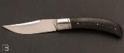 RWL34 custom slipjoint knife and carbon fiber by Grégory Picard