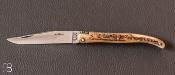 "Laguiole" knife 11 cm sambar stag by David Ponson