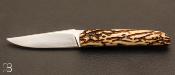 Liner-lock "light" folding knife by Thierry Chevron - Stag antler and RWL-34