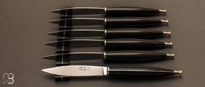 6 Gagnere Nontron knives box