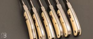     Full set de 6 couteaux custom par Aleksandr Vetrov - Micarta ivory / M390