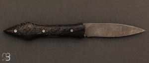   Couteau  "  L'Oegopsyde " fait main par Laraud Blade  - Morta et 14C28