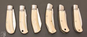     Full set de 6 couteaux custom par Aleksandr Vetrov - Micarta ivory / M390