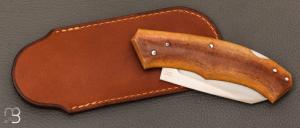    Couteau  "  Lock-back" custom pliant par Mathis Poujol - Micarta Westinhouse et RWL-34