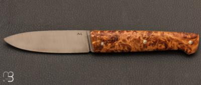 Couteau de poche AG335 bouleau stabilis par Adrien Giovaninetti