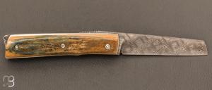  Couteau de poche Piémontais de Richard Ciachera - Ivoire de mammouth et damas