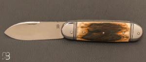    Bulldog  custom knife by Romain Alvarez - RWL-34 and mammoth ivory